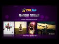 Portrait Effect in Photoshop (PSD Box)