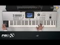 KORG TV / Pa3X MUSIKANT: 
