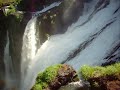 salto bosseti