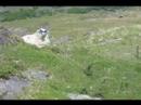 Ireland, 2006, Part 1