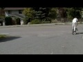 Click here to watch this video is that a bear?