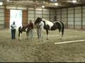 videos de Silverwood Farm's Sirus