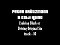 Keiji Haino & Peter Brotzmann - track 10