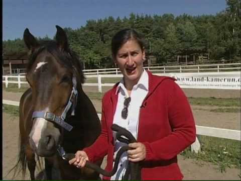 Reitanlage bei Hitzacker