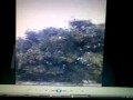 tukimin review