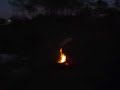 St. Andrews State Park Florida w/Olen Batchelor Part 1 St. Andrews State Park Florida w/Olen Batchelor Part 1