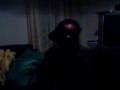 videos de w yung