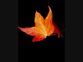 autumn`s breath /Pod X3/FL-Studio/cort G260 chill out track autumn`s breath /Pod X3/FL-Studio/cort G260 chill out track