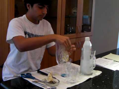how to isolate dna at home