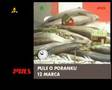 Łapu Capu Extra 4/4 marzec 2008