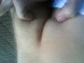 Xoxota