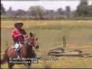 Ranchera Donde Vaya - Erasmo Manríquez - Los Reales del Vall Ranchera Donde Vaya - Erasmo Manríquez - Los Reales del Vall