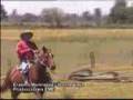 Ranchera Donde Vaya - Erasmo Manríquez - Los Reales del Vall