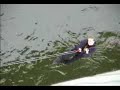 Bridge Jump Bratislava - Palis Video