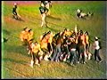 Foster/Carver 1983 Gamewinner