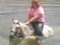 swimming on horseback