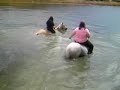 Swimming on Horseback