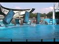 sea world orlando florida 1