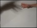 Touch my hand ! Touch my hand !