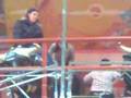 Los toros de la feria de expojove