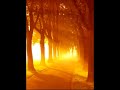 hirnpflox-der-weg-feat-methap-flo-j-daniel.html