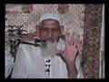 Sunni Alim view on Shia Muslims