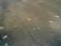 jog rr der beklopte michi