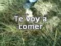 Tengo hambre
