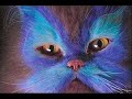 Gatos Pintados e outros! Gatos Pintados e outros!
