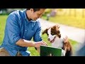 Introducing Google Play for Pets