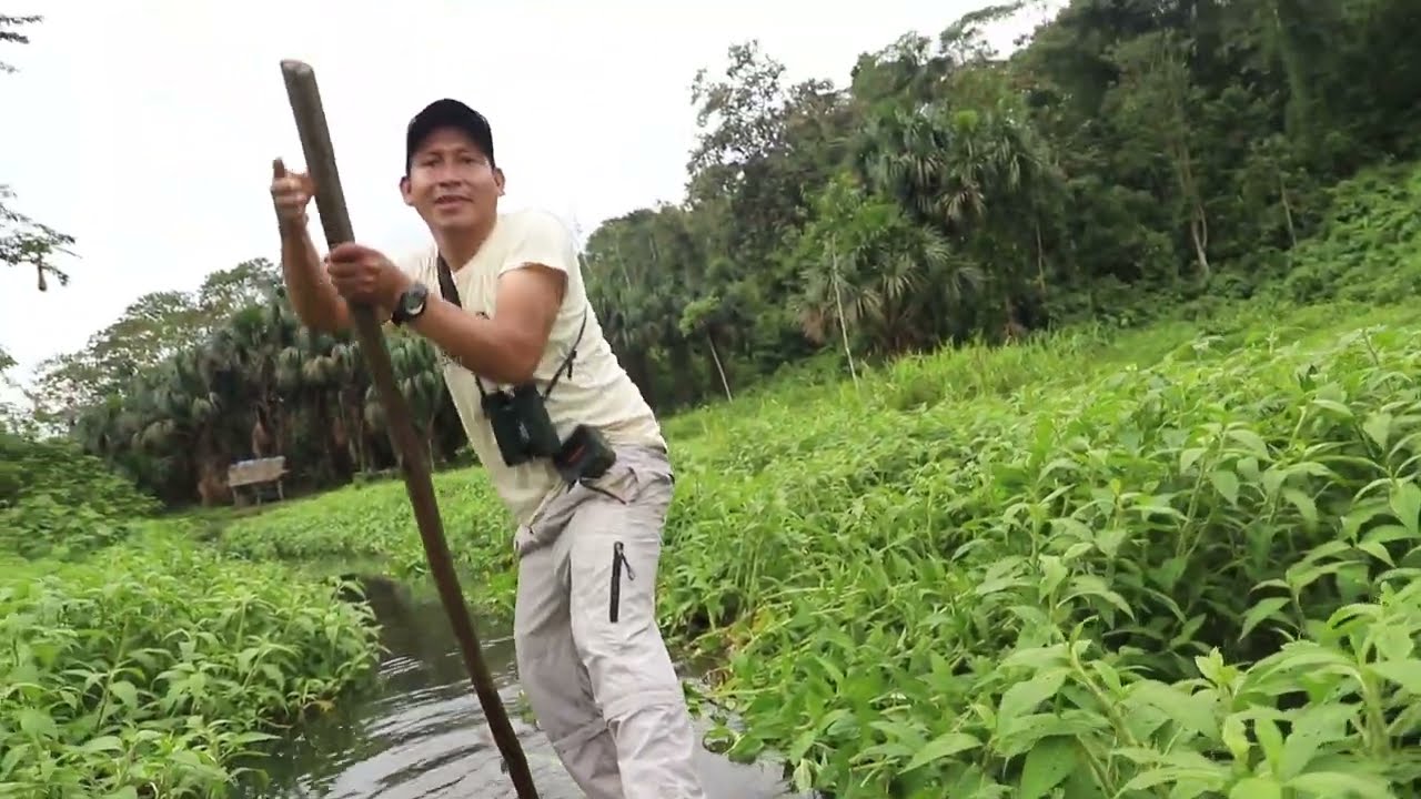 Cocha Machuwasi, Peru