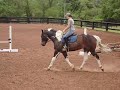 apha jimmey buffett apha jimmey buffett