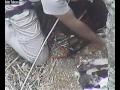 videos de cegonhitas anil 090613 4