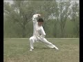 26 Form chen style Taijiquan 26 Form chen style Taijiquan