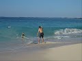 Summer Life