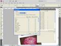 videos de Nya Linkpanel i CS4