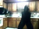 Attack Of The Gorrilla