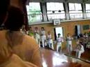 contemporania capoeira