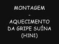 Montagem - Aquecimento da Gripe Suína (H1N1)