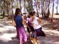 danza degli uccelli