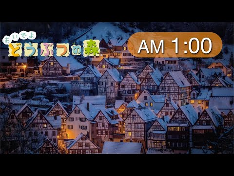 動画