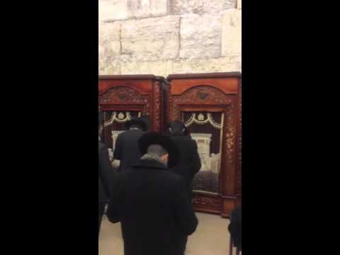 Jewish men praying Inside to the left of the Wailing Wall, Jerusalem