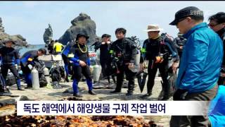 뉴스데스크