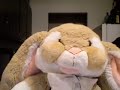 The Bunny Report The Bunny Report
