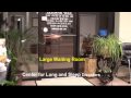 VideoMcCallieOffice.wmv
