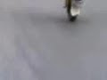 chaly boc dau