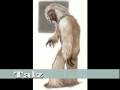 Star Wars Species Guide #2 Star Wars Species Guide #2