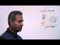 Immunology (Neutrophils) Lecture 3 Part 1
