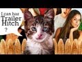 Trailer Hitch - A Talking Cat!?! (2013)