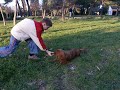 igra2 igra2
